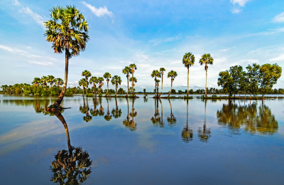 Đặt Tour Du Lịch Sài Gòn – Châu Đốc