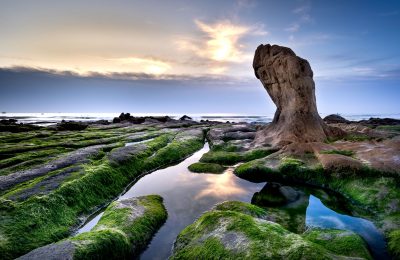 Đặt Tour du lịch Sài Gòn – Cổ Trạch – Tuy Phong