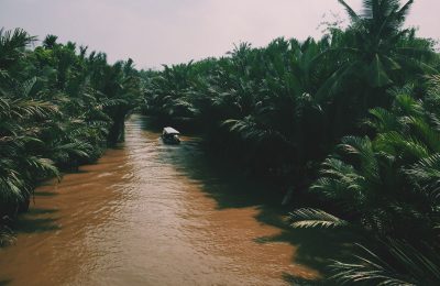 Đặt Tour du lịch Sài Gòn – Cồn Phụng (Bến Tre)